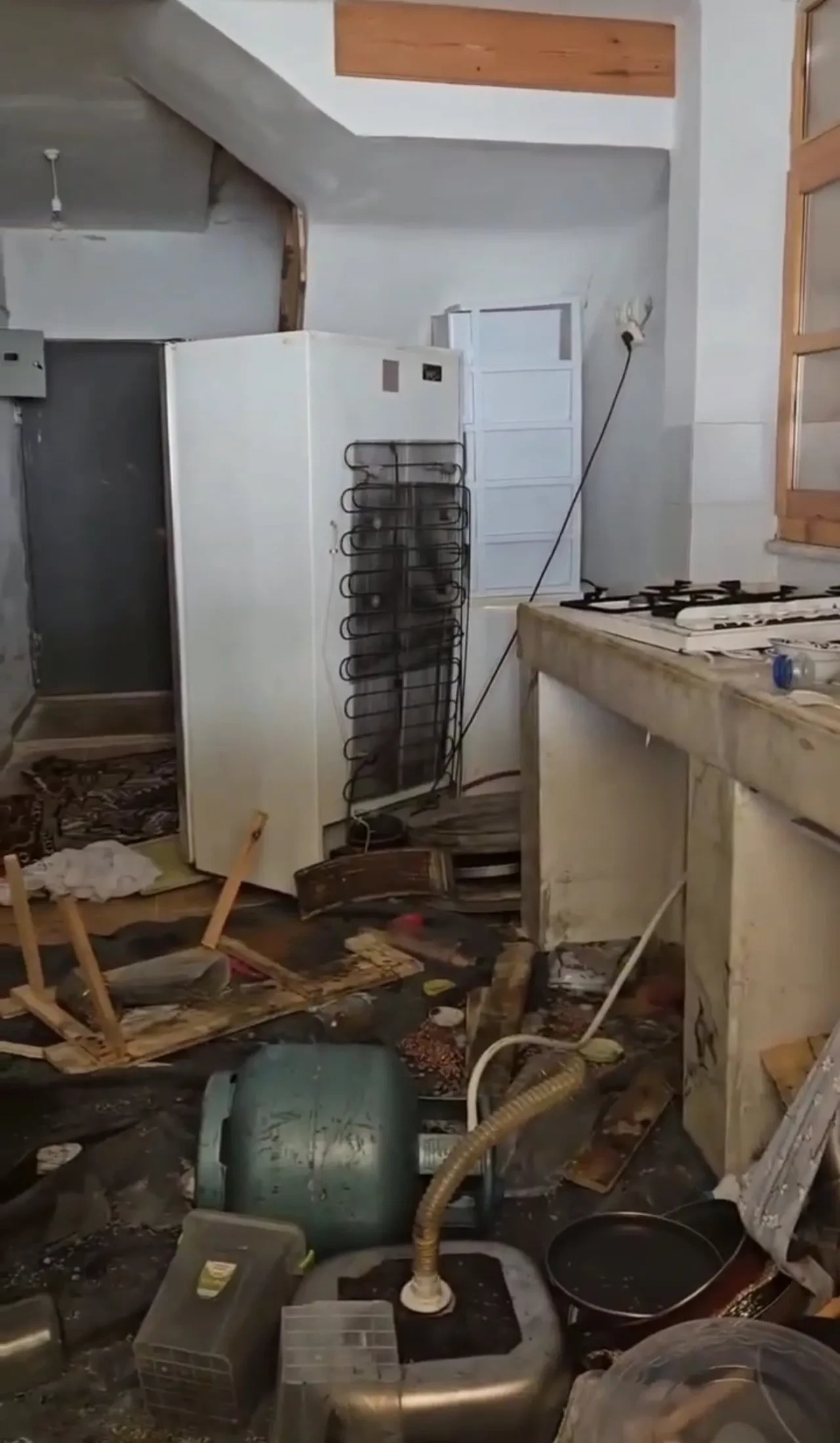 Ayılar belediye başkanının evini paramparça etti! Şoke eden görüntüler