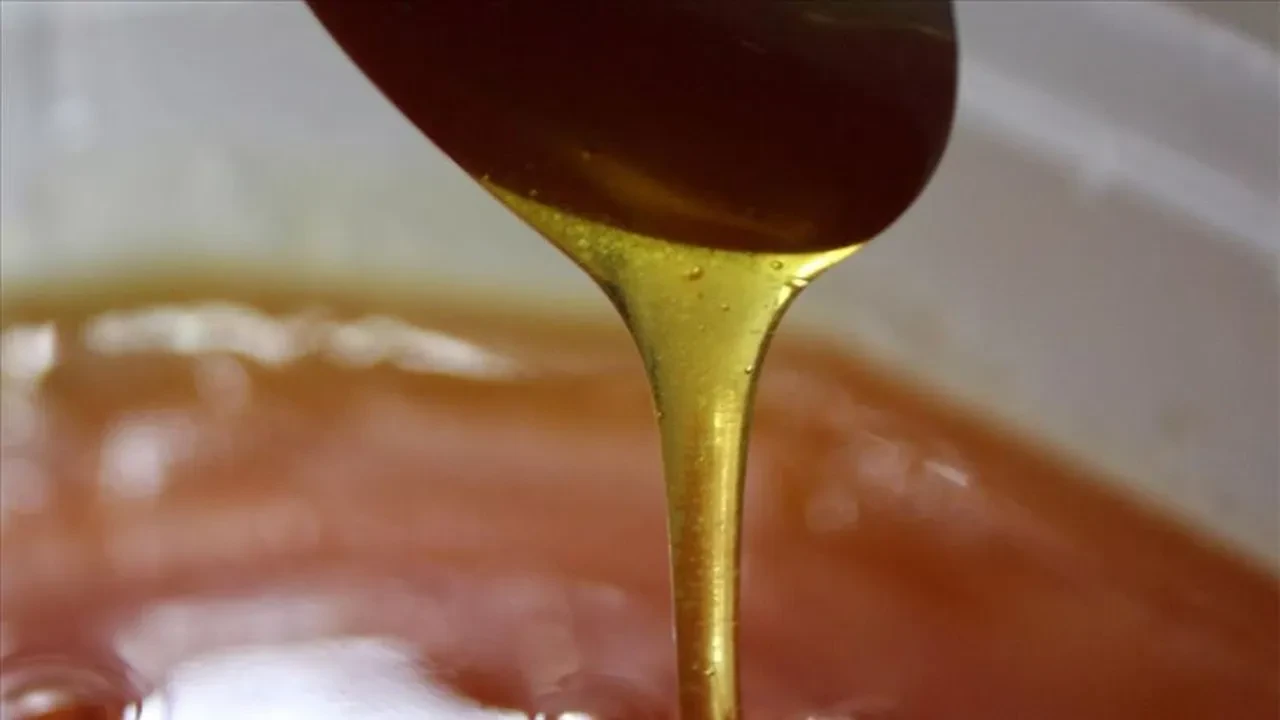 Bal fiyatları artışa geçecek! Arıcılıkta zor sezon