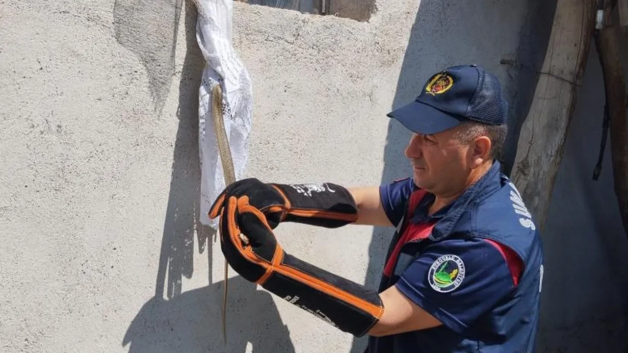 Eve giren yılan ilçeyi ayağa kaldırdı