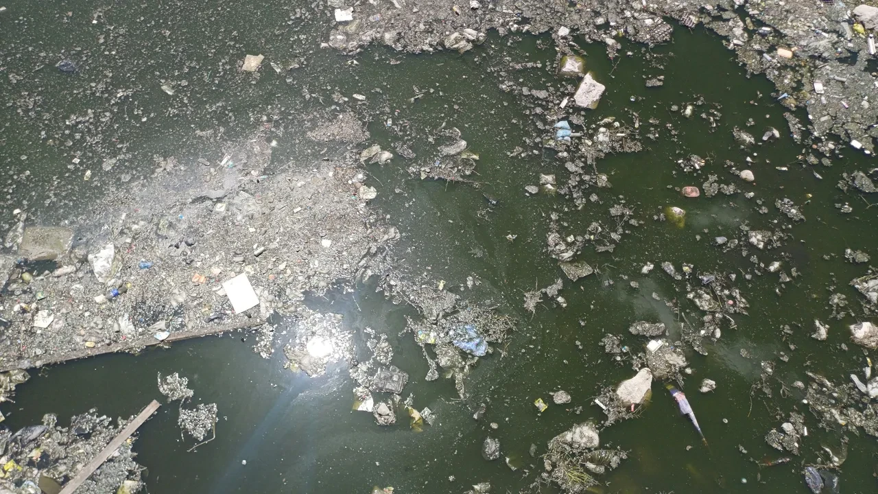 Gezmeye gelenler neye uğradığını şaşırdı! 'İzmir Körfezinden bile daha kötü'