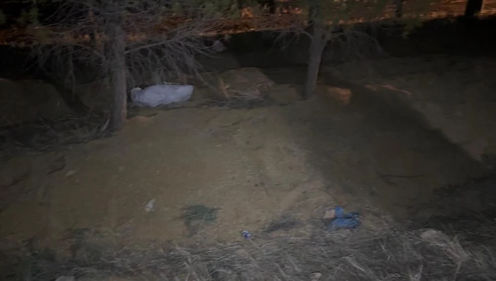 Şanlıurfa’da buğday dolu tır devrildi! Yollar altın sarısına büründü