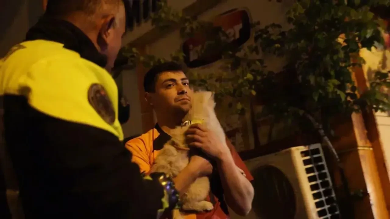 Köpeğine tutunan alkollü sürücü kaza yaptı!