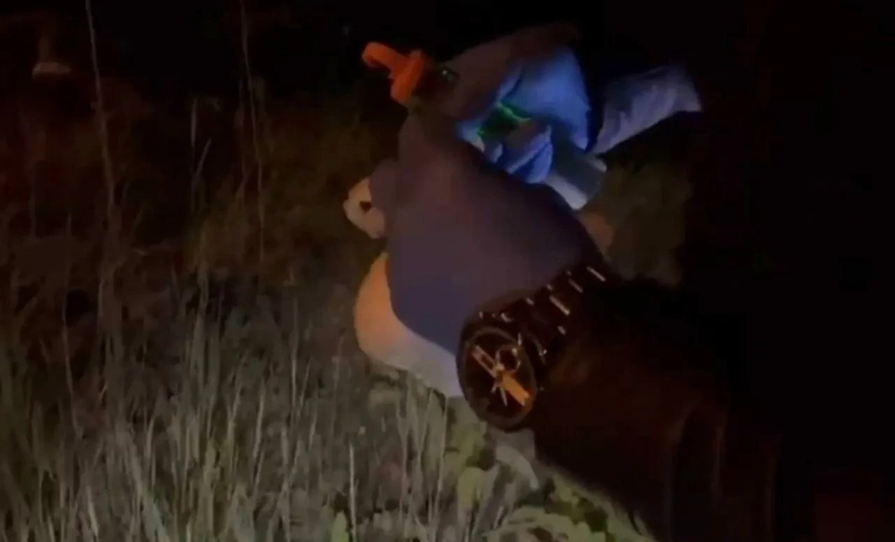 Kütahya'da zehir tacirlerine operasyon! 6 şüpheli tutuklandı