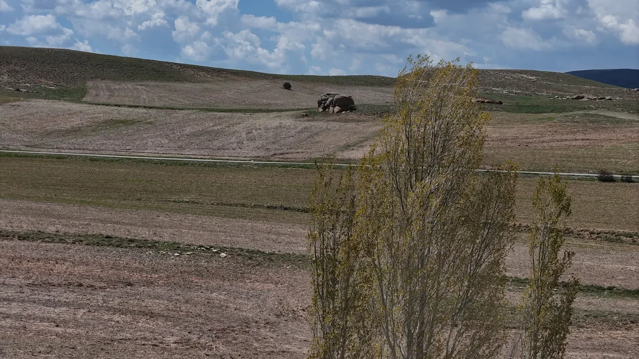 Sırrı halen çözülemedi, görenler tedirgince yaklaşıyor! Bir ilimizde esrarengiz kalıntı
