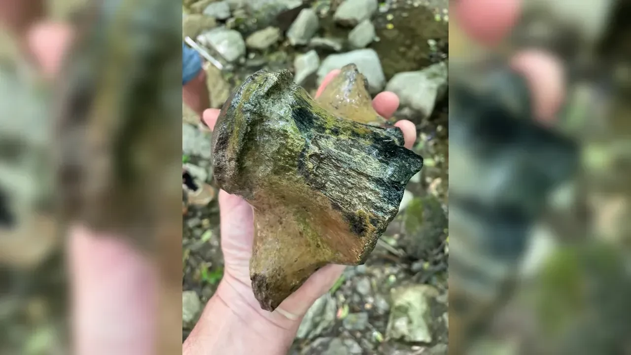 Dinozorlardan bile büyük! Okyanuslara hükmeden 'gerçek bir deniz canavarı' bulundu