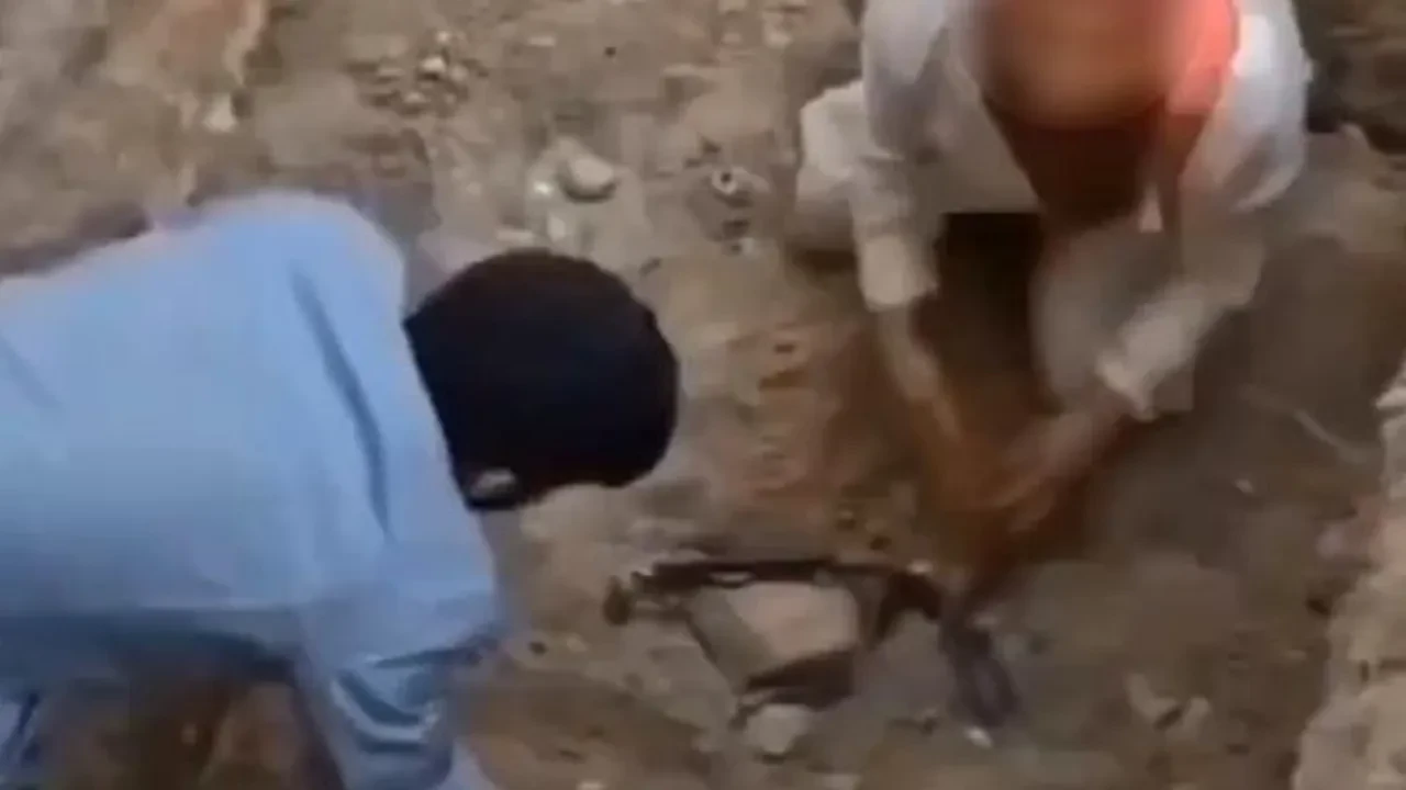 Bursa'da ölen köpekleri mezardan çıkarmaya çalıştılar