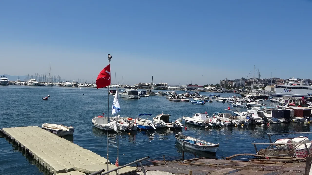 İstanbul'da köpek balığı alarmı! Balıkçılar neye uğradığını şaşırdı