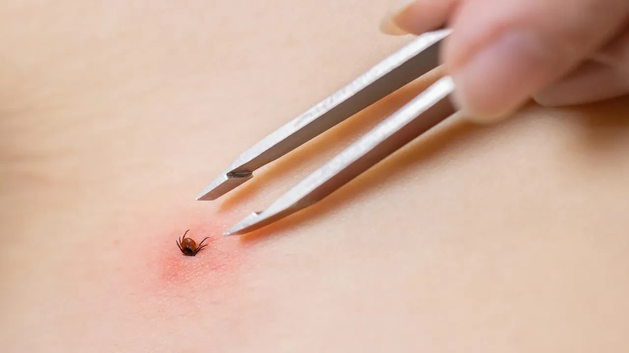 Kene kâbusu geri döndü! Minik Metehan hayatını kaybetti 