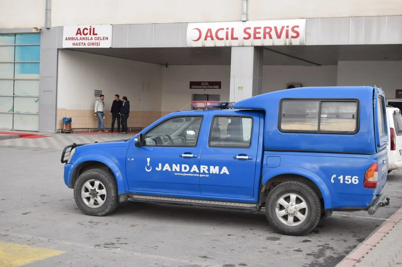 Topladıkları mantardan zehirlendiler! Uzmanlar uyardı! Bu belirtiler varsa dikkat