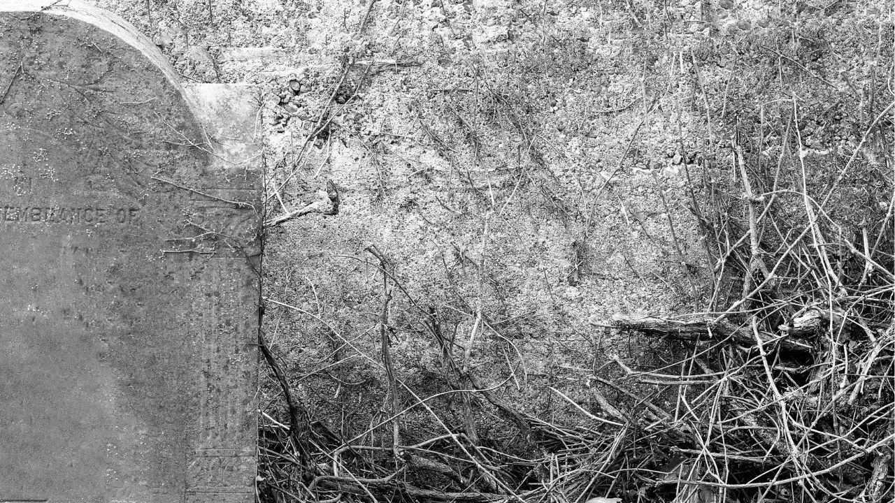 4000 yıllık taş kaplı mezar! Bölgedekilerin yaşamını yansıttı