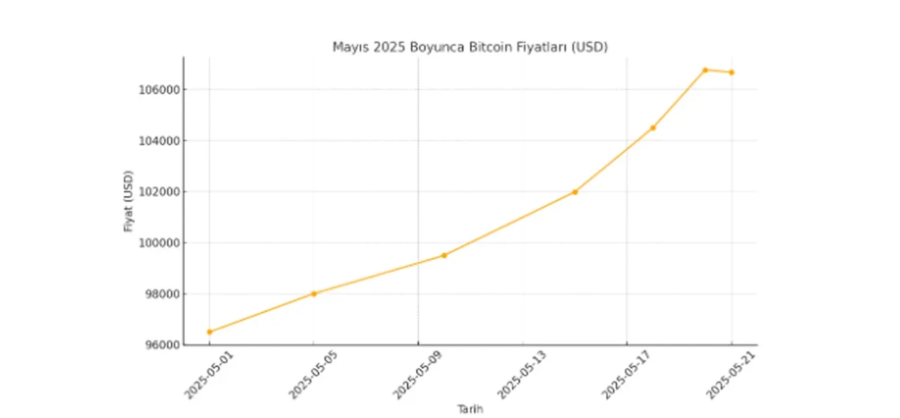 Bitcoin önce rekor kırdı sonra üzdü! Bir ayda yüzde 10 kazandırdı