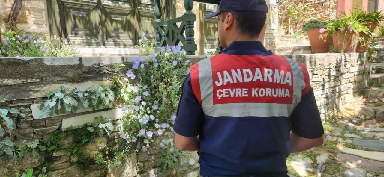 Dünyada sadece Aydın'da var! Bu çiçeği koparan yandı: Cezası yarım milyon TL