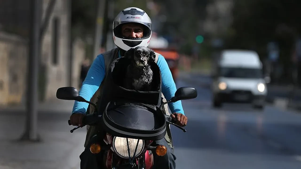 Kuryeler ve makarna üreticileri için tehlike sınıfı değişti