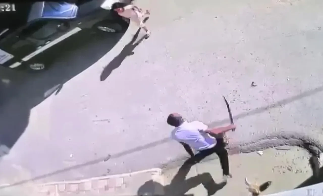  Palalı saldırgan dehşet saçtı! Çöp yüzünden 2 kişiyi hastanelik etti