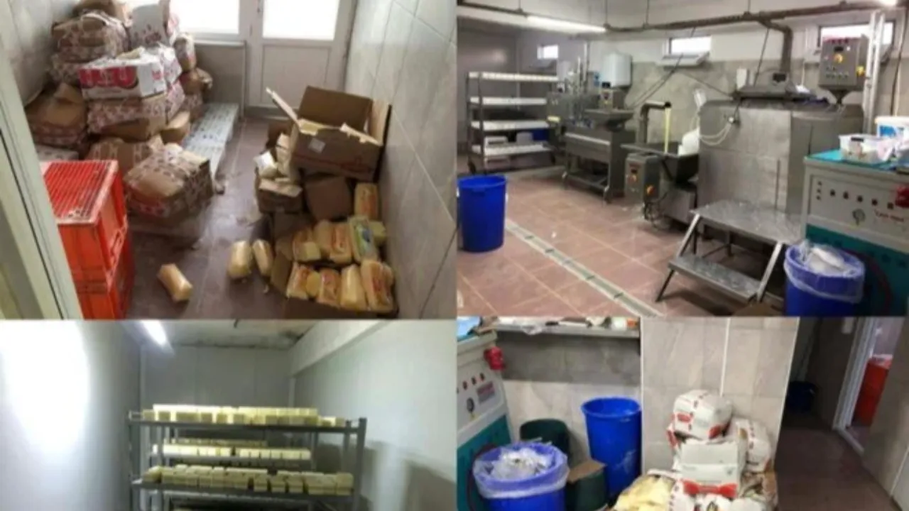 Sakarya'da merdiven altı tesise baskın! Mide bulandıran görüntüler: Kaşardan eldiven çıkmış