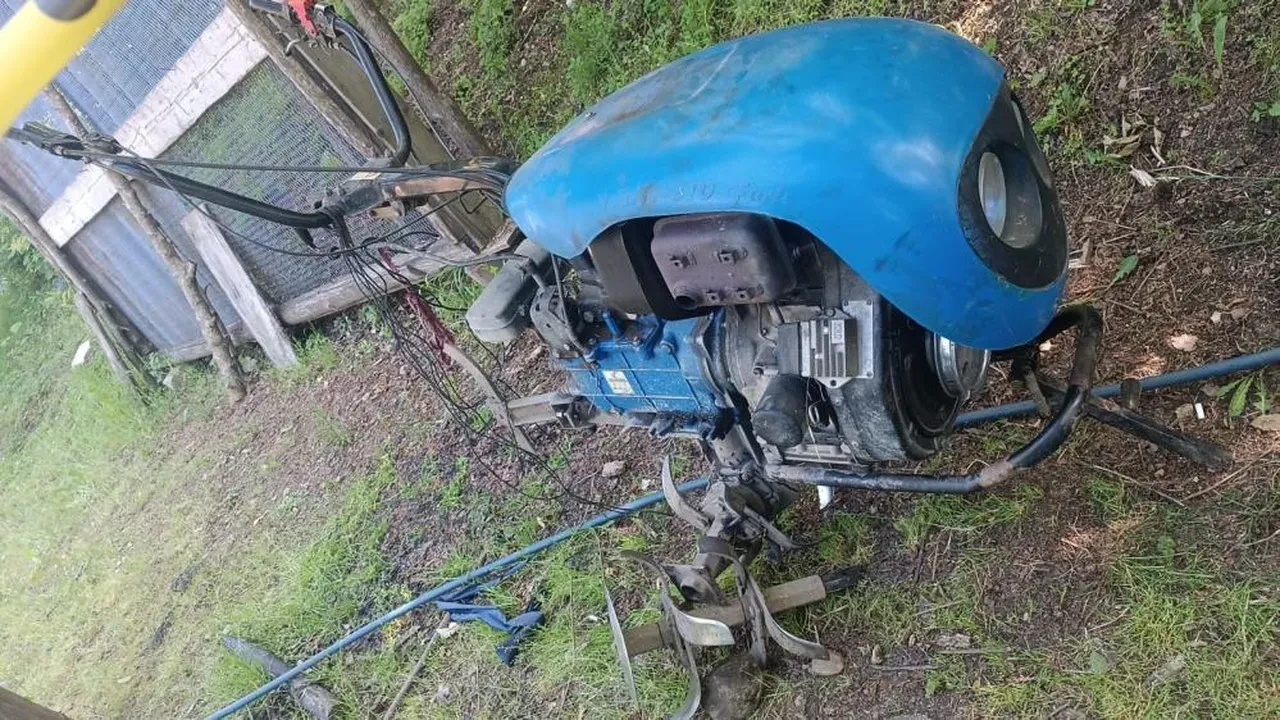 Tarlada can pazarı: Tüm vücudunu kaptırdı