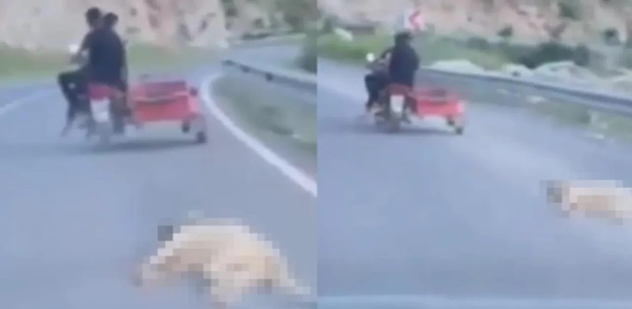 Telef olan köpeği motosikletle sürükleyen sürücü serbest bırakıldı