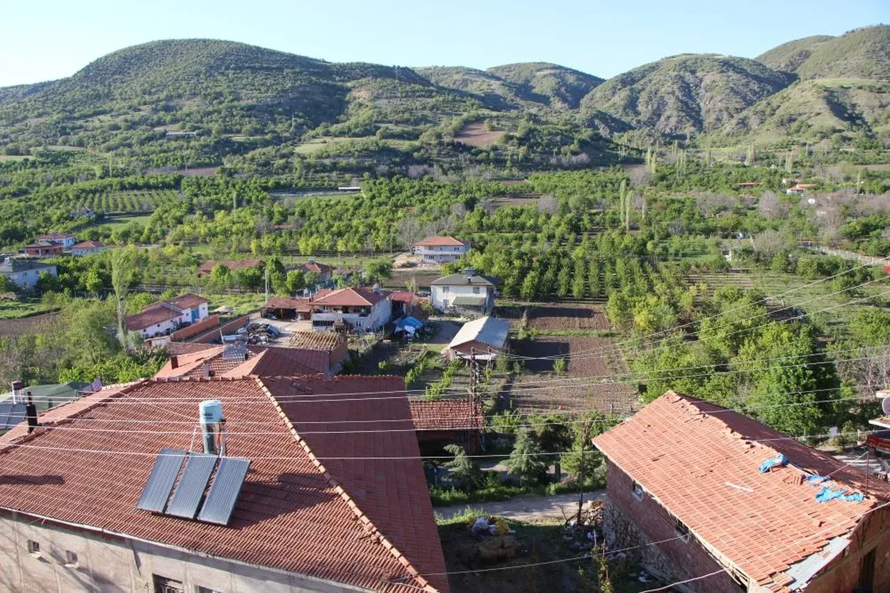 Türkiye Ziraat Odaları Birliği açıkladı: Tarımda çalışan gençlerin oranı belli oldu!