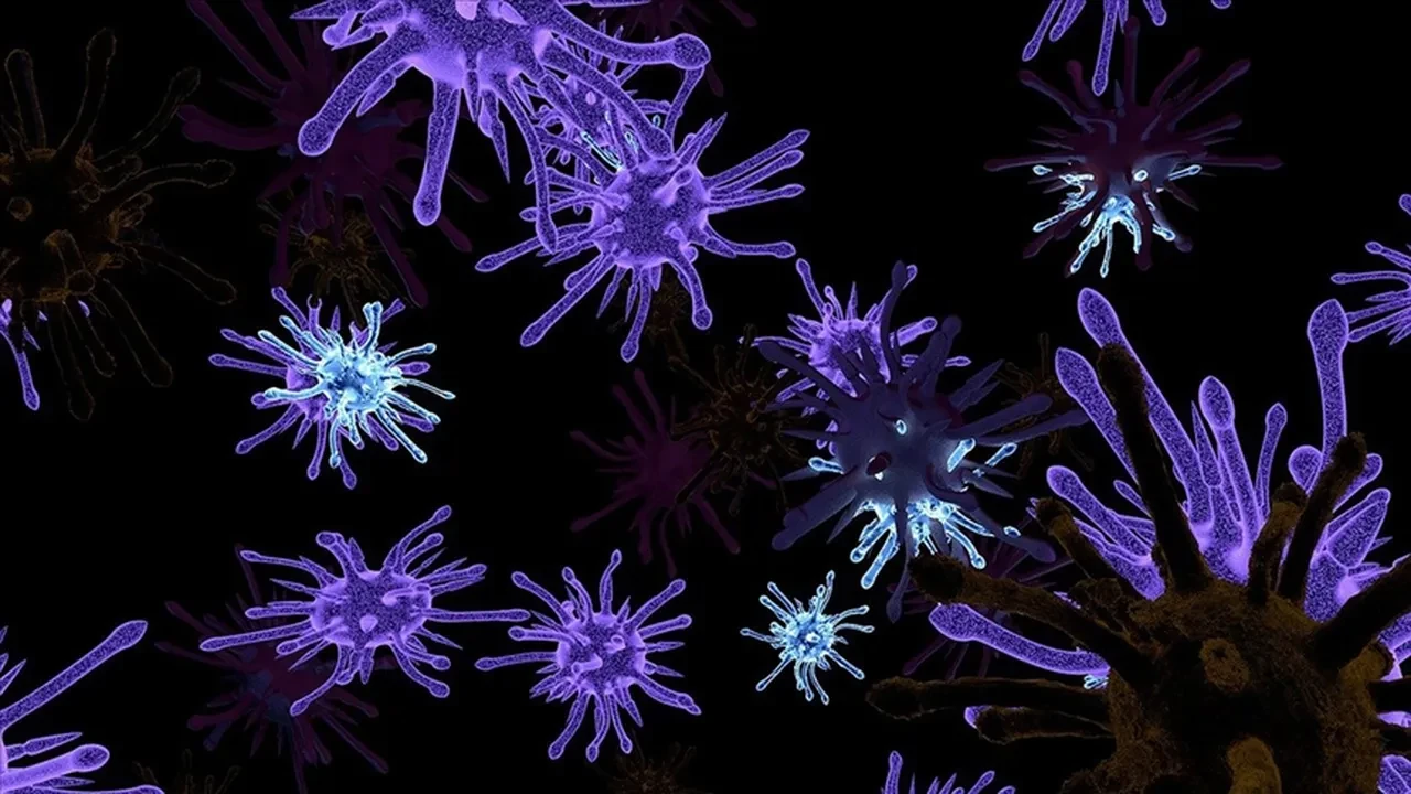 Uzayda yeni bir bakteri türü keşfedildi: Dünya'da eşi benzeri yok