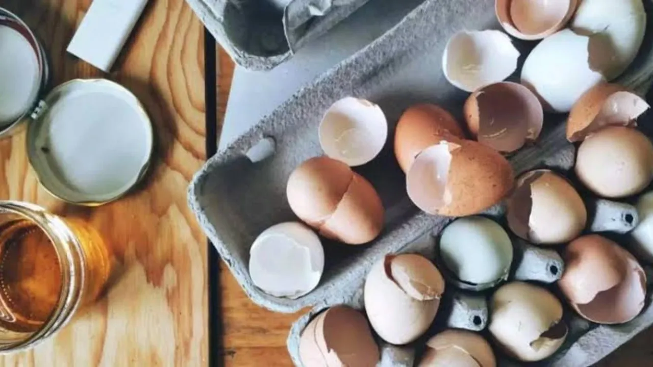 Yumurtanın suyunu kaynattıktan sonra sakın dökmeyin meğer altın değerindeymiş