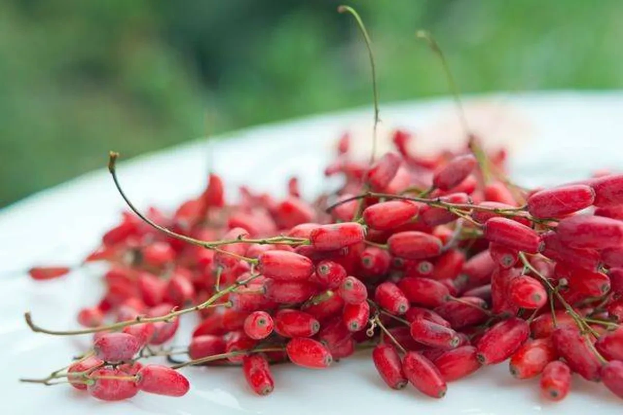 Diyabete karşı resmen doğal kalkan vazifesi görüyor