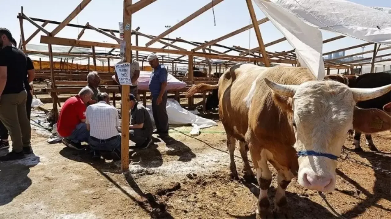 İlahiyatçılardan uyarı! İşte kurban hakkında merak edilenler