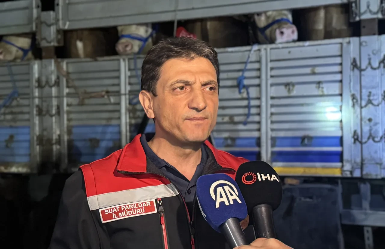 İstanbul Kurban Bayramı’na hazır! Kurbanlık hayvan girişleri başladı