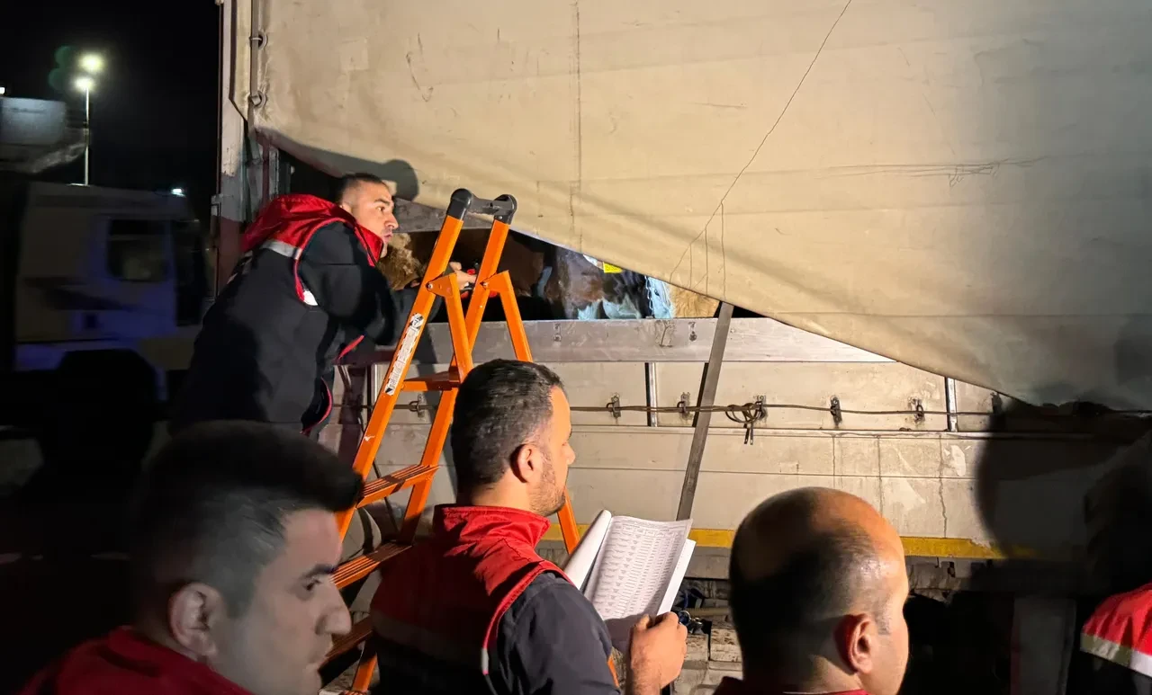 İstanbul Kurban Bayramı’na hazır! Kurbanlık hayvan girişleri başladı