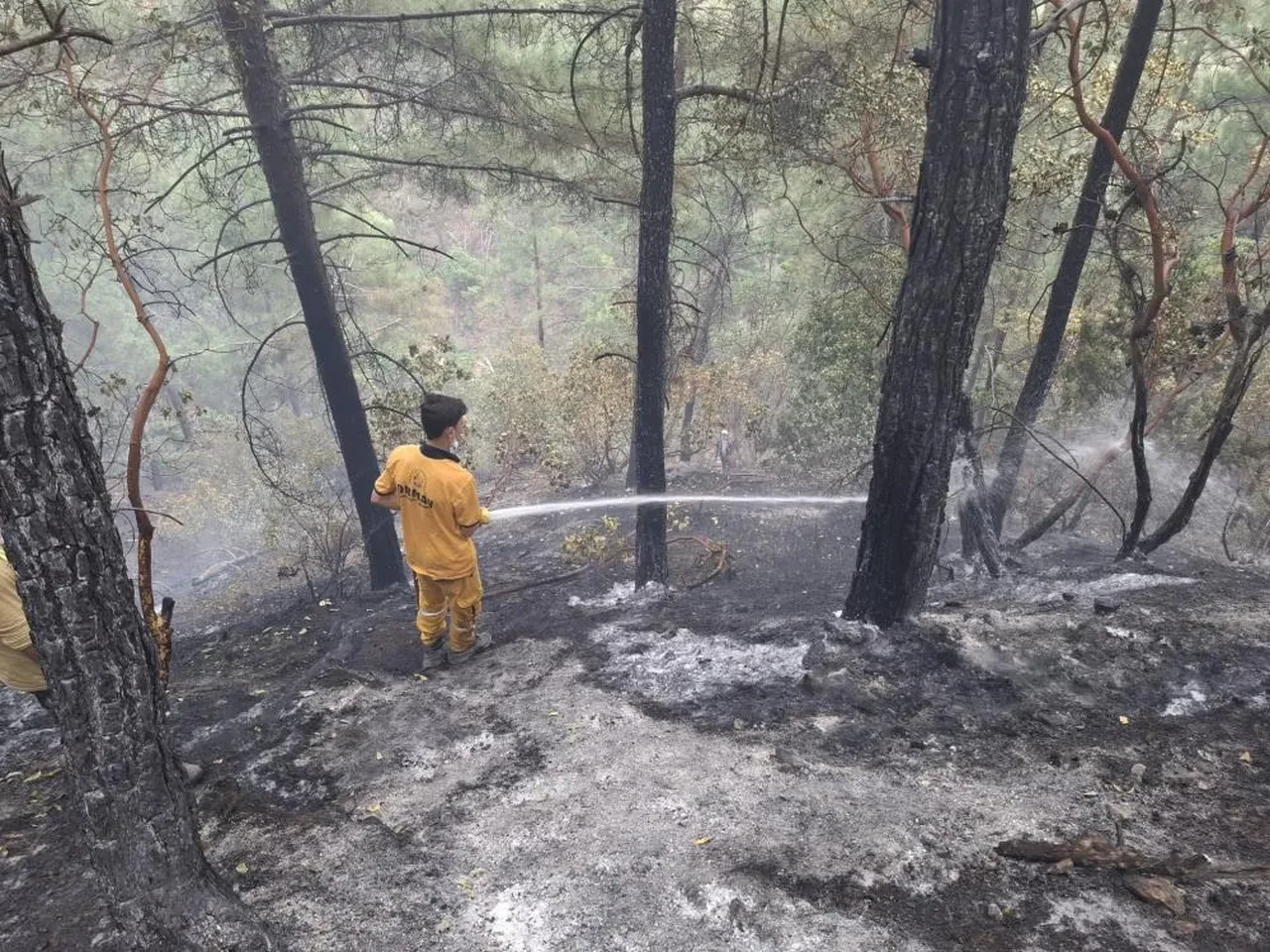 Kahramanmaraş'taki orman yangınının bilançosu belli oldu!