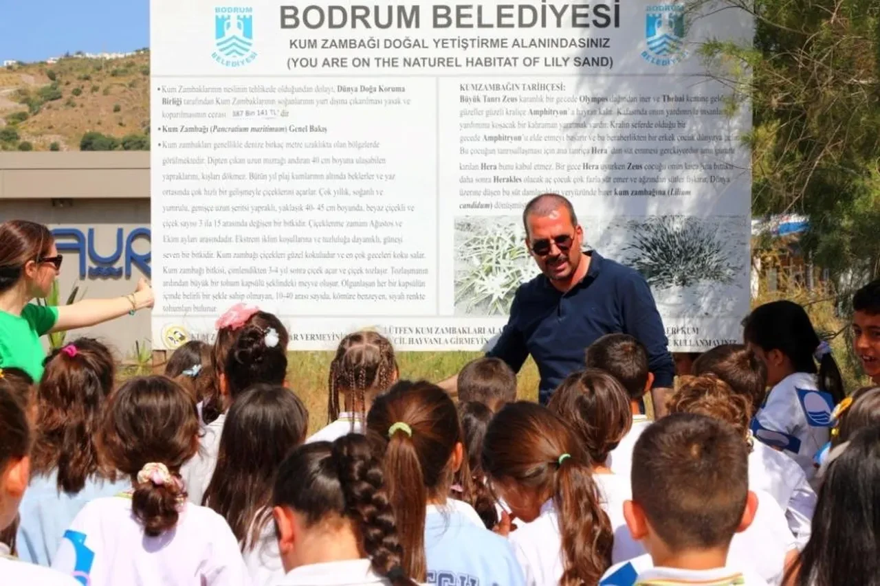 Nesli hızla tükeniyor: Kopartan 387 bin TL ödeyecek!