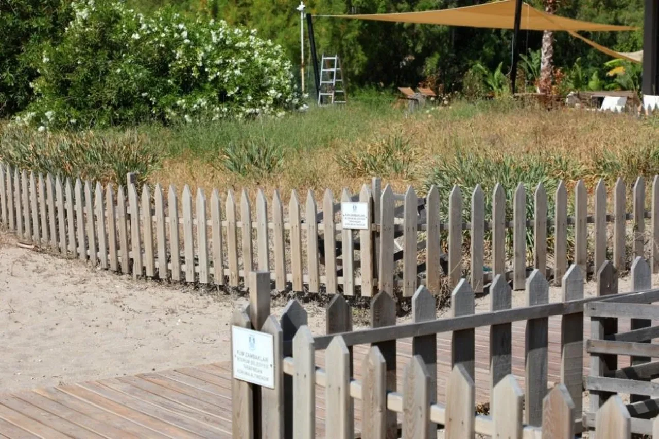 Nesli hızla tükeniyor: Kopartan 387 bin TL ödeyecek!