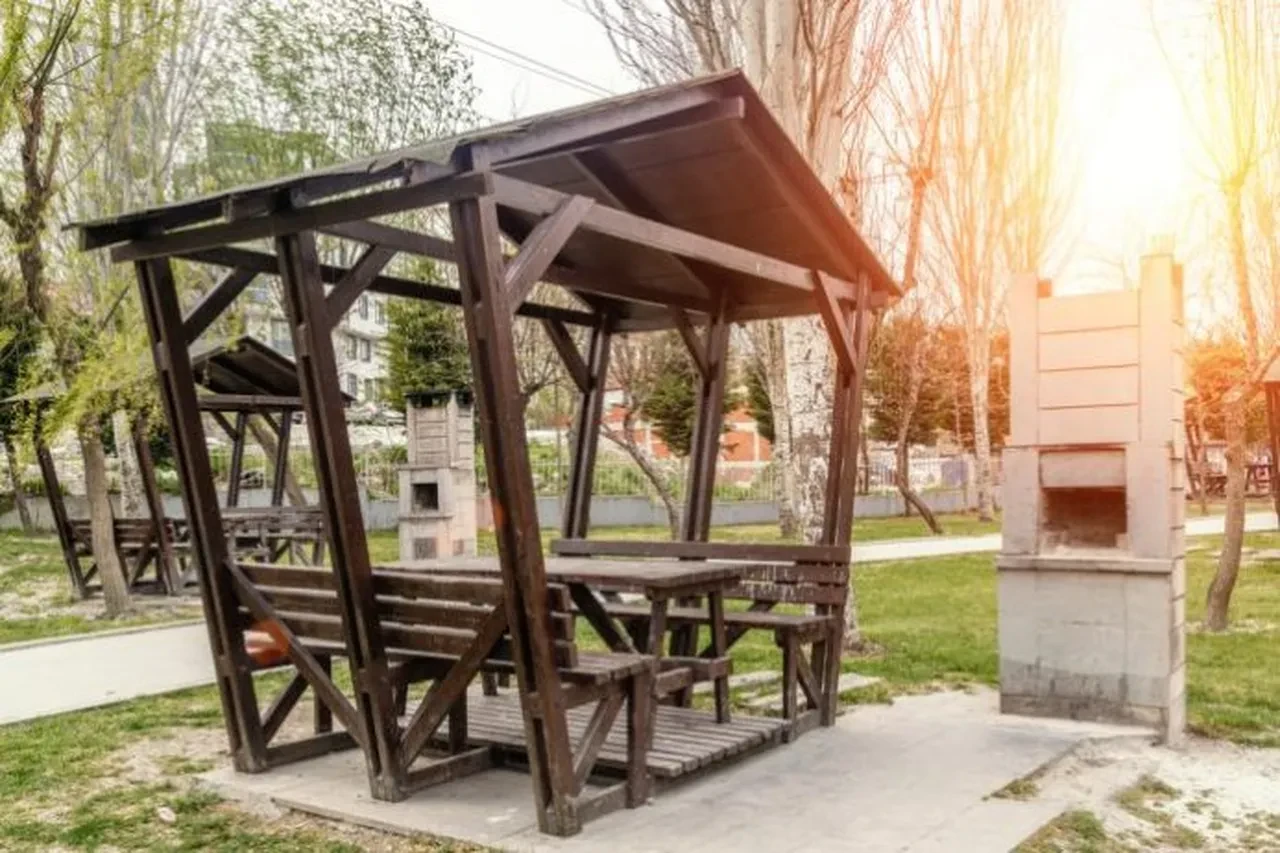 Pikniğe gidecekler dikkat! Ormanlık alanlara girişler yasaklandı