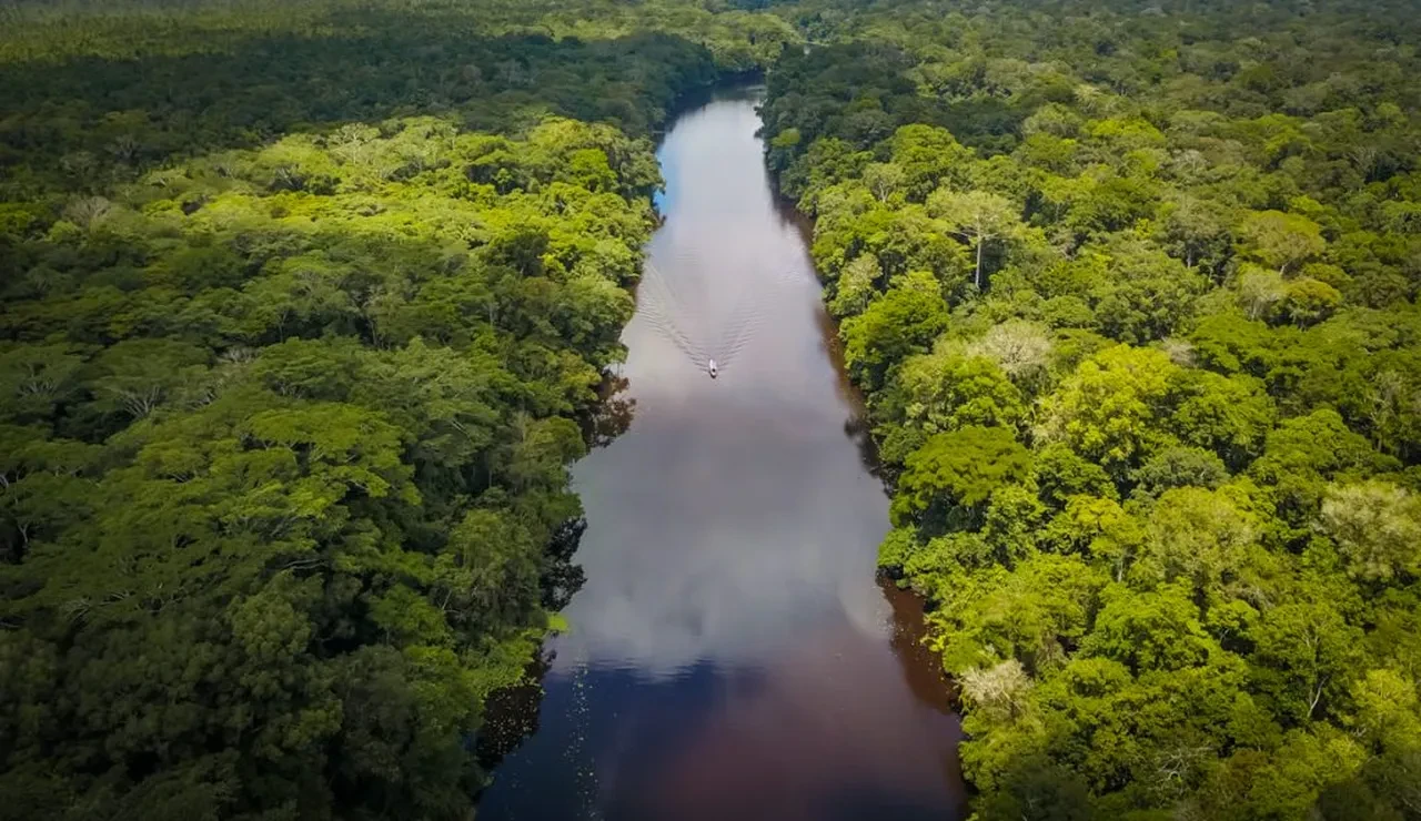 Turist teknesine silahlı saldırı: Banka hesaplarını boşaltıp motoru çaldılar