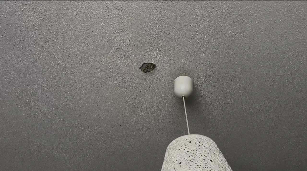 Adeta korku evi! Amcalarının yaptıkları şoke etti: Çocuklar savaş çıktı sandı 