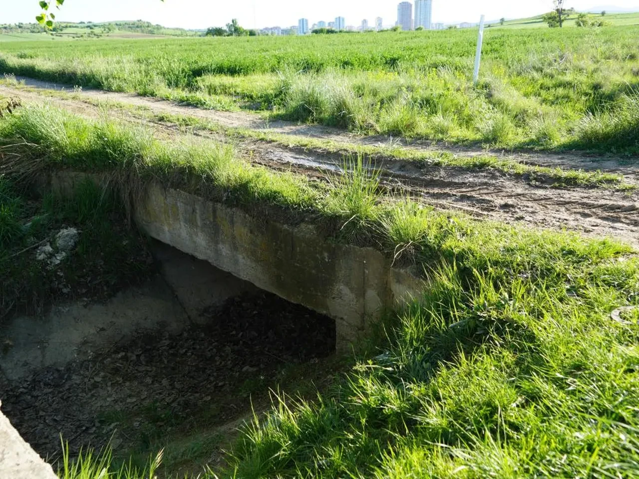 Başını kesip, sulama kanalına atmıştı! Duruşmaya damga vuran dilekçe
