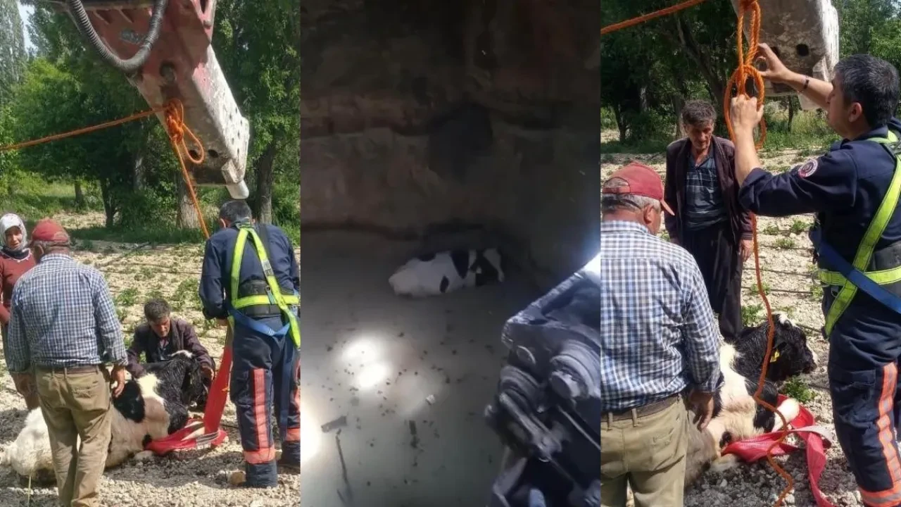 Dana kurtarma operasyonu! Ekipler seferber oldu
