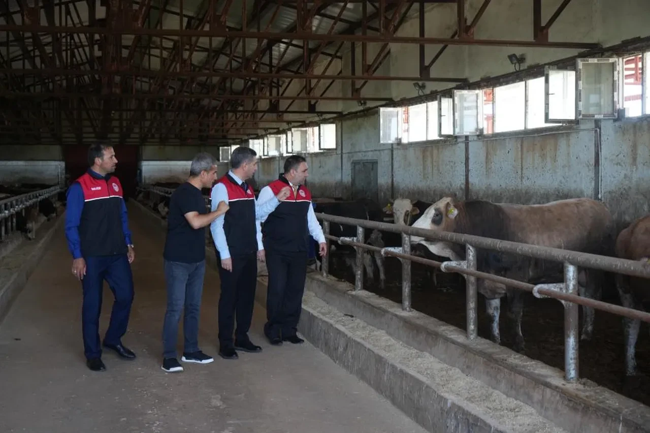 Muş'tan kurbanlıklar yola çıktı! İşte kazandıracağı gelir