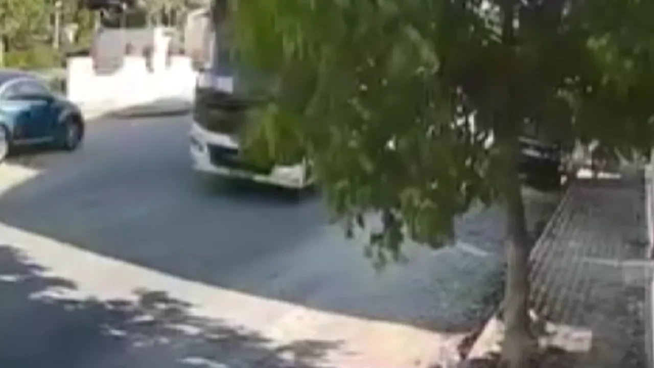 Sokak köpeğini böyle ezdi, arkasına bile bakmadı