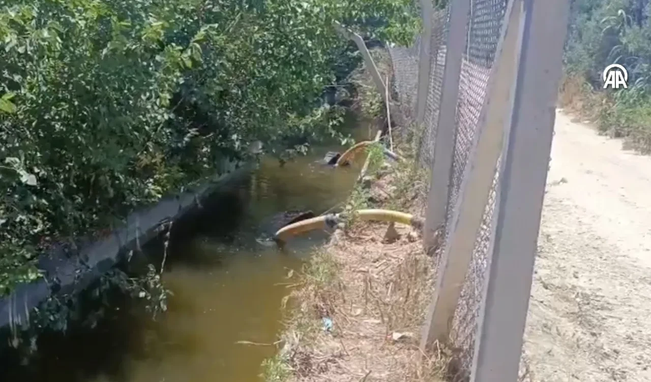 3 yaşındaki Salim'in kahreden ölümü! Cansız bedeni sulama kanalında bulundu