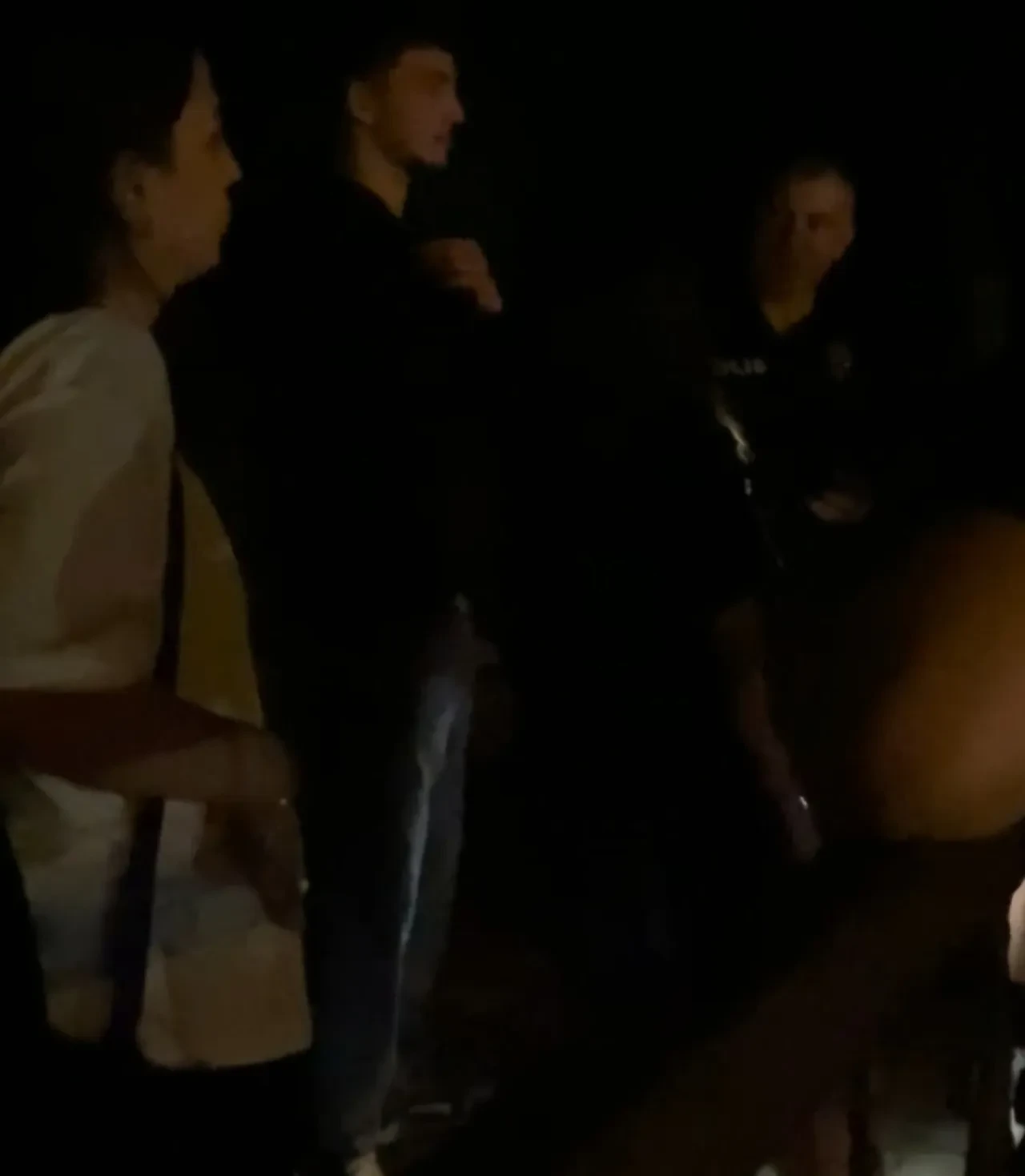 Gizemli sesler çığlık terapisi ya da cinayet sanıldı! Polis harekete geçti gerçek başka çıktı