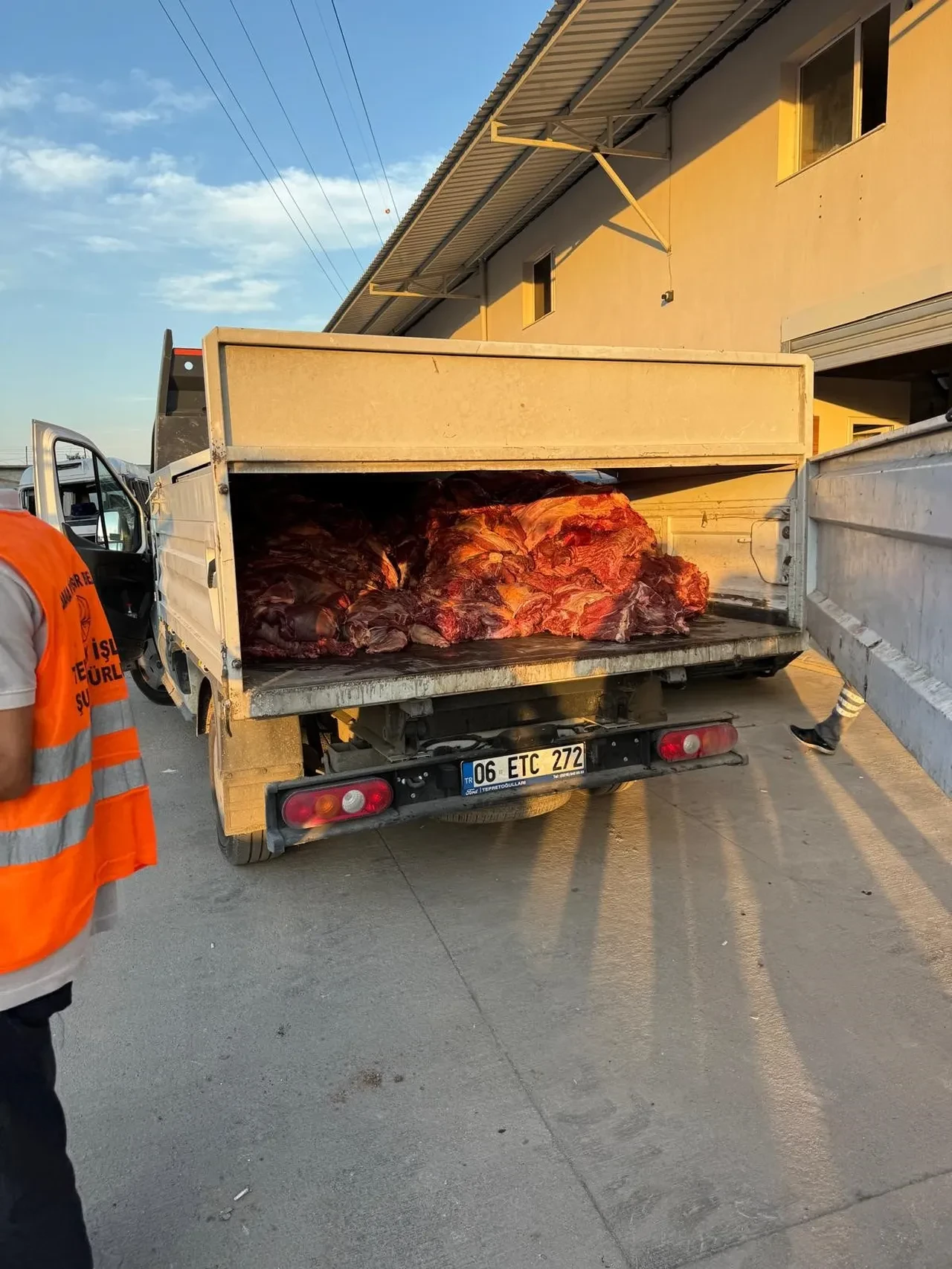 Hepsi mühürsüz, faturasız! Mide bulandıran anlar: 3 ton bozulmuş at eti ele geçirildi