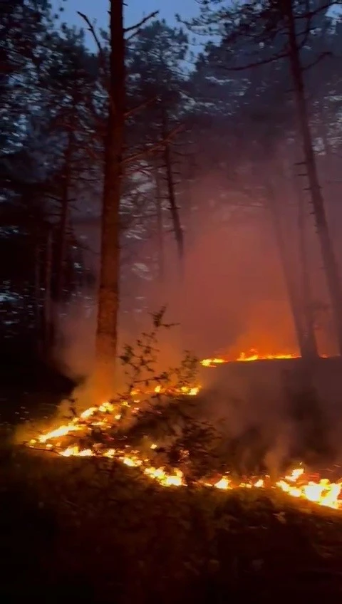 Karabük’te yıldırım yangını!