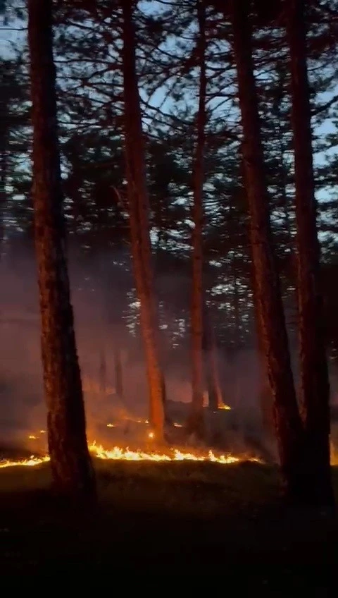 Karabük’te yıldırım yangını!