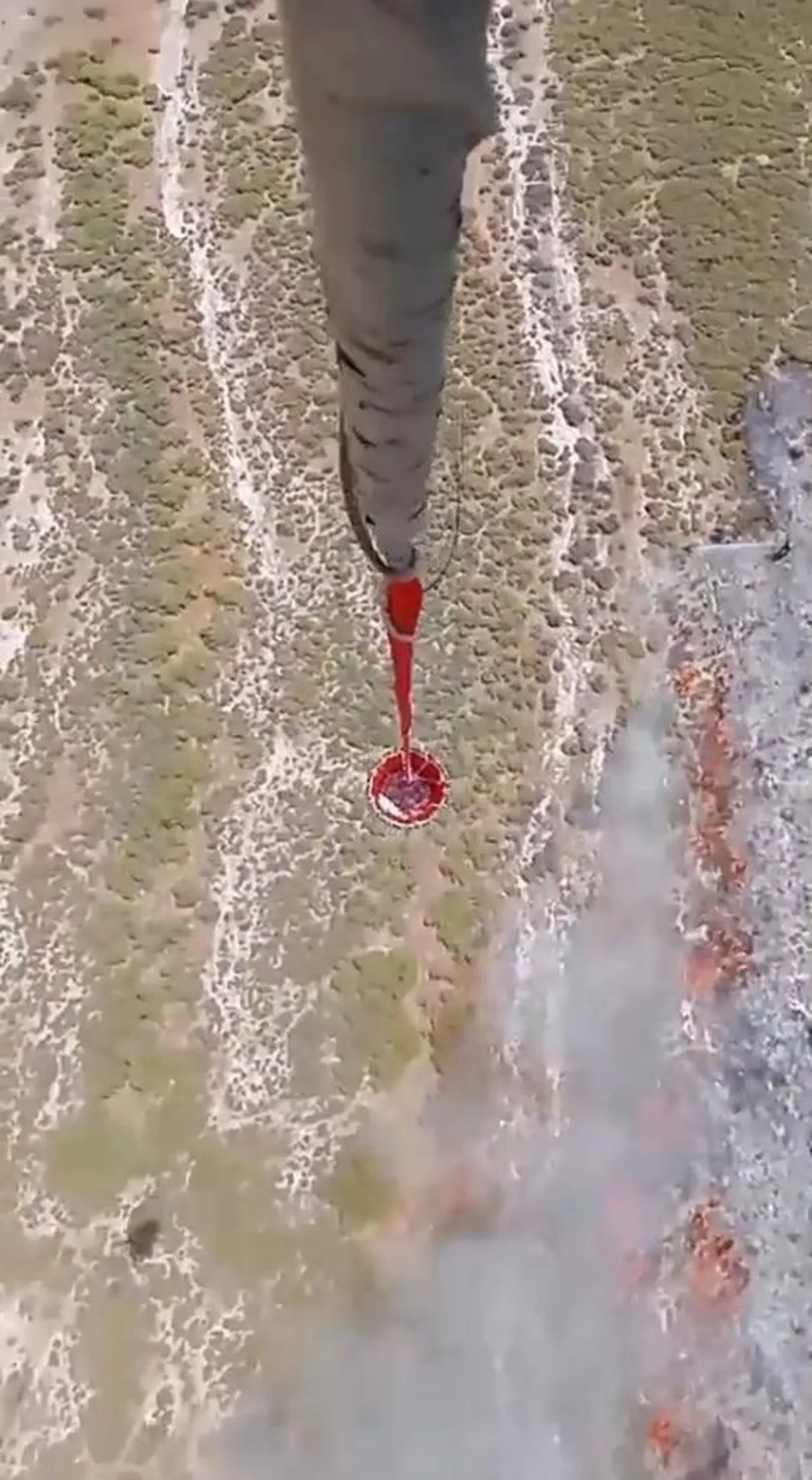 İzmir Foça’da tarım arazisinde başlayan yangın ormana sıçradı