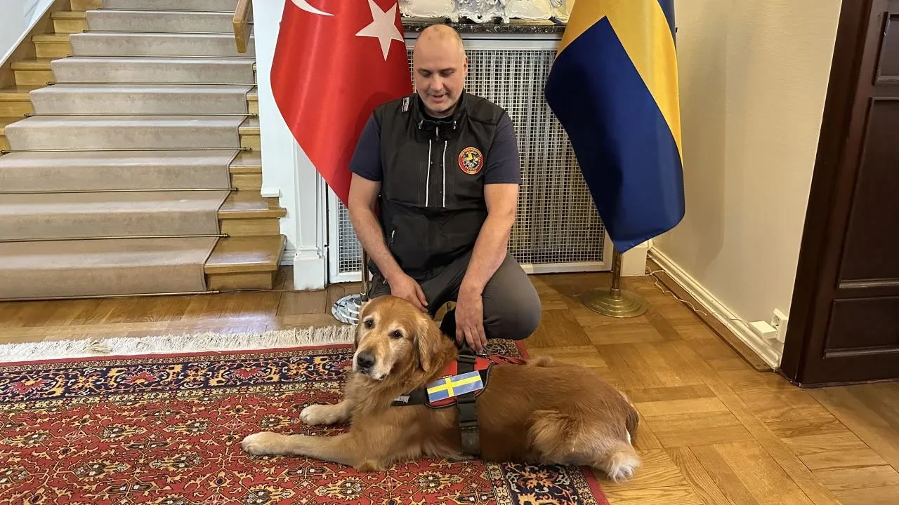 Türkiye'de 18 kişiyi kurtaran İsveç'in kahraman köpeği hayatını kaybetti