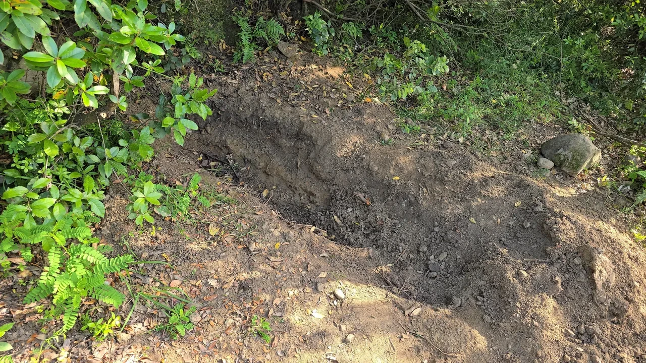 Tüyleri diken diken eden cinayet! 43 gün sonra cesedi gömülü halde bulundu: Son paylaşımı yüzünden kimse aramadı