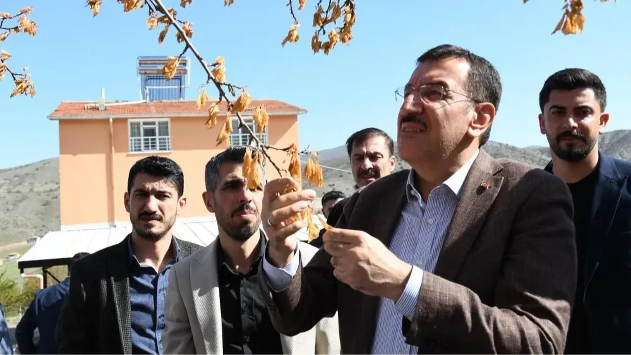 Zirai don destek ödemeleri bayram sonrası başlıyor