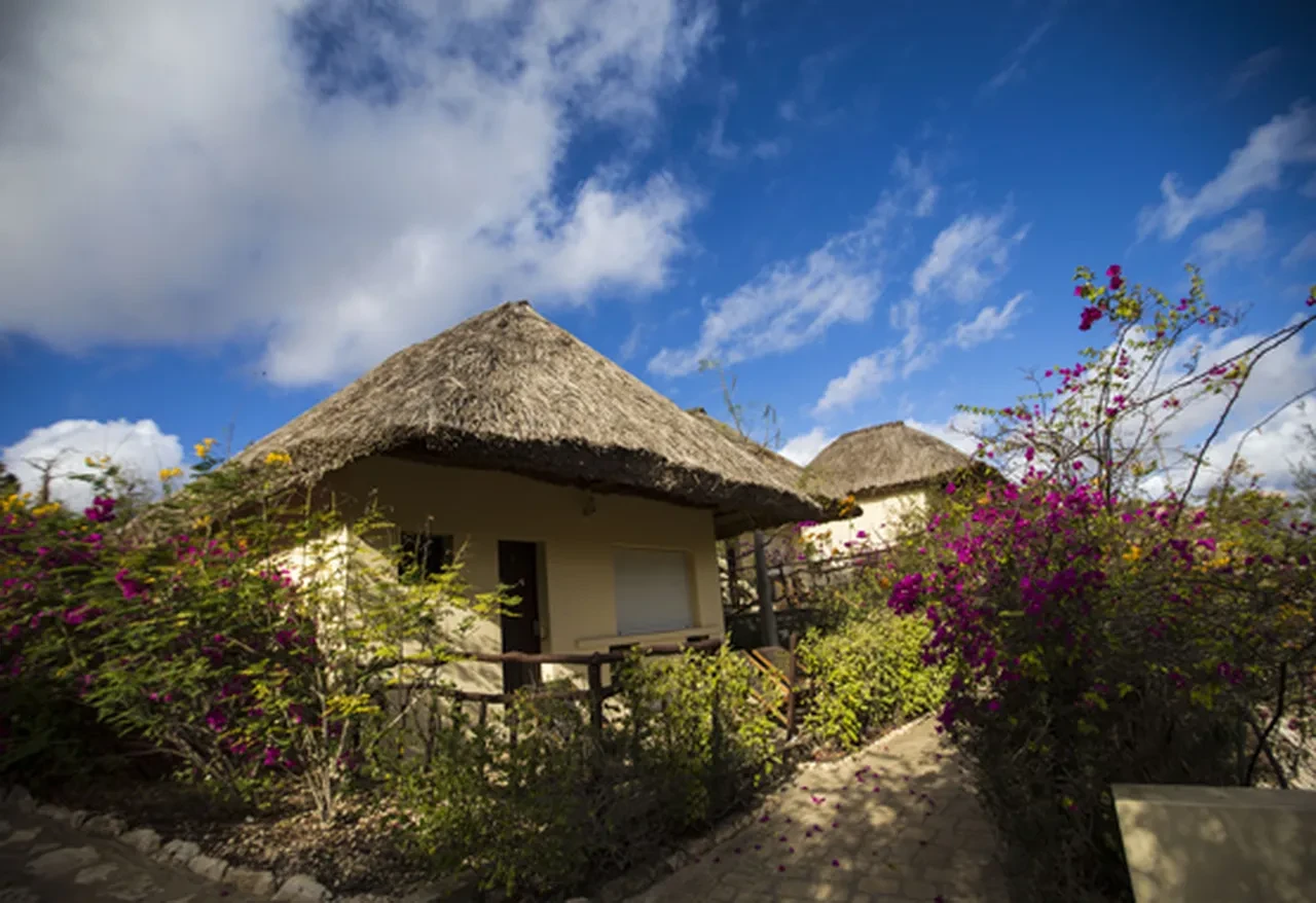 Dünyada tek: 130 ülkeyi gezen adam en farklı yeri açıkladı! Bilimsel olarak kanıtlandı