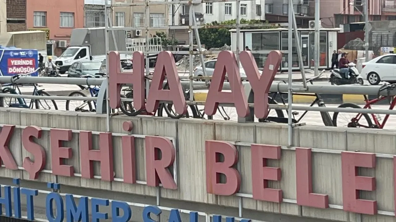 Hatay'da esrarengiz 'T' olayı! Hepsi bir anda ortadan kaybolmuştu: Gizem çözüldü
