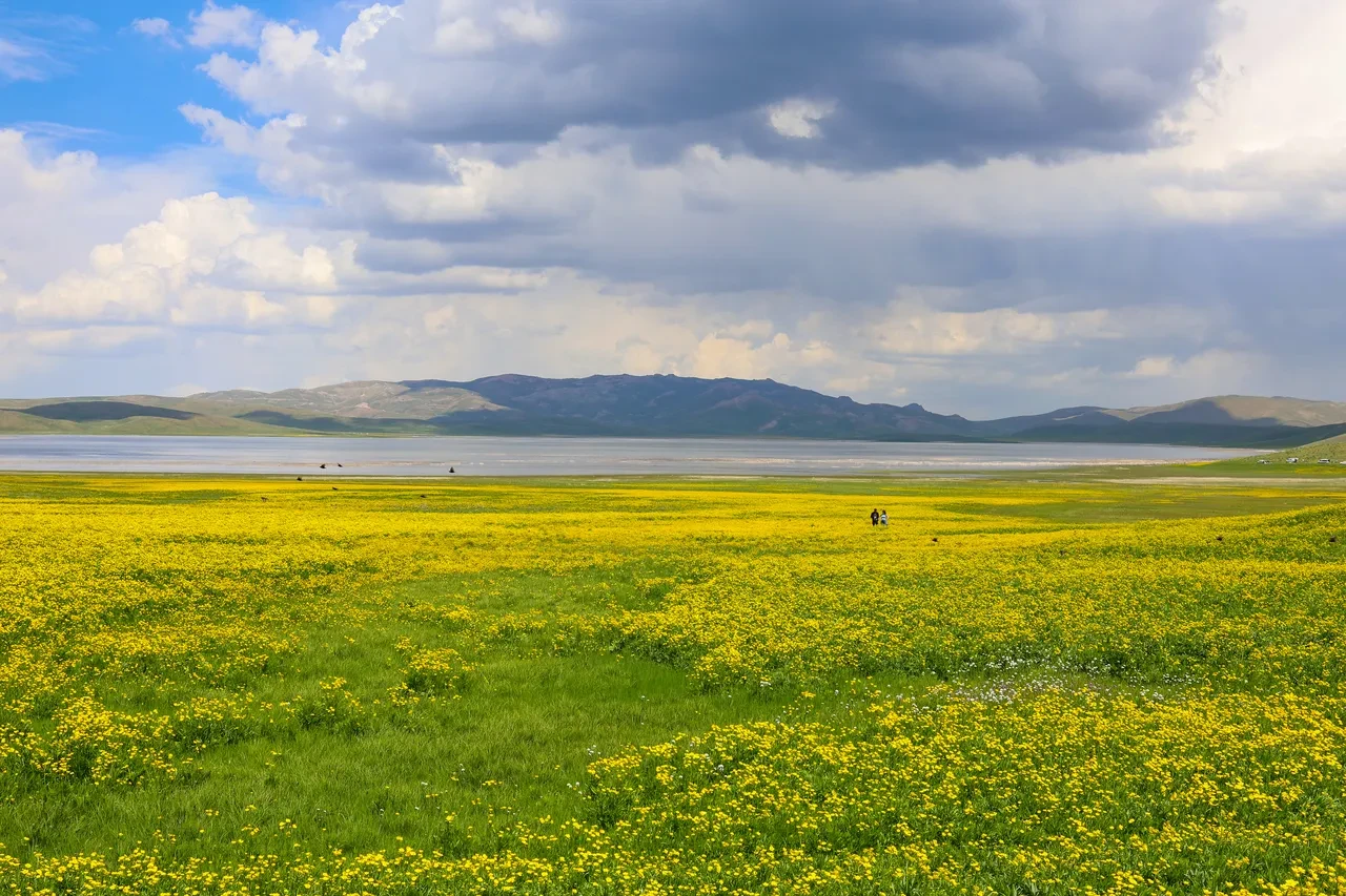 Herkes yurt dışı sanıyor o ilde yaşayanlar bile bilmiyor! Burayı gören bir daha geliyor
